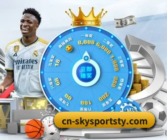 星空体育 APP 深度功能（Sky Sports）